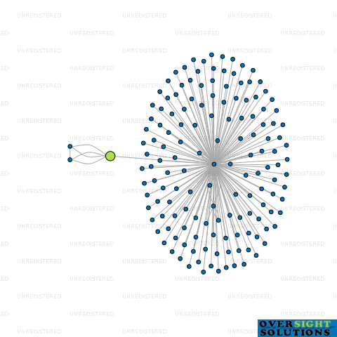 Network diagram for CHEMICAL PACKERS LTD