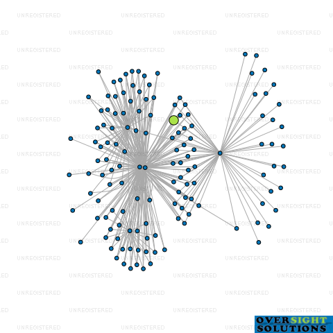 Network diagram for WILTON BERGIN TRUSTEES LTD