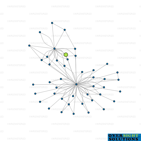 Network diagram for 333 REMUERA ROAD LTD