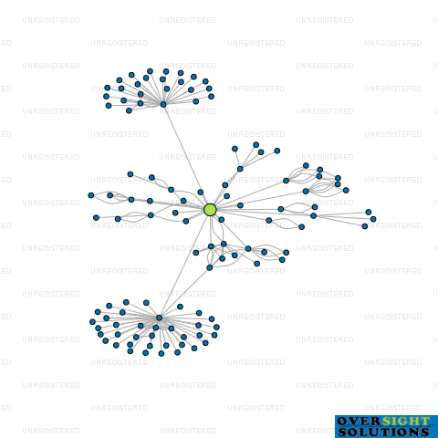 Network diagram for WELLINGTON MEDICAL GROUP LTD