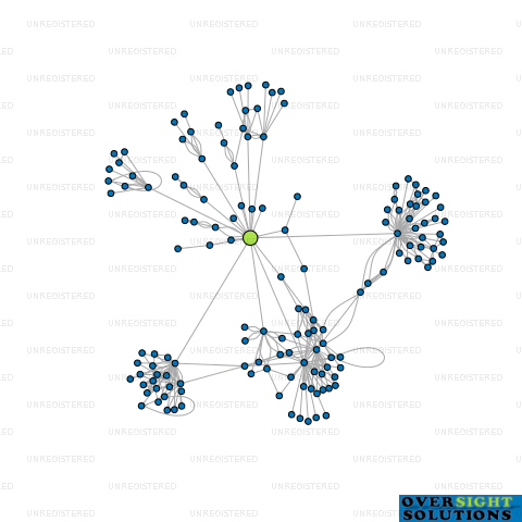 Network diagram for CONNEXIONZ LTD