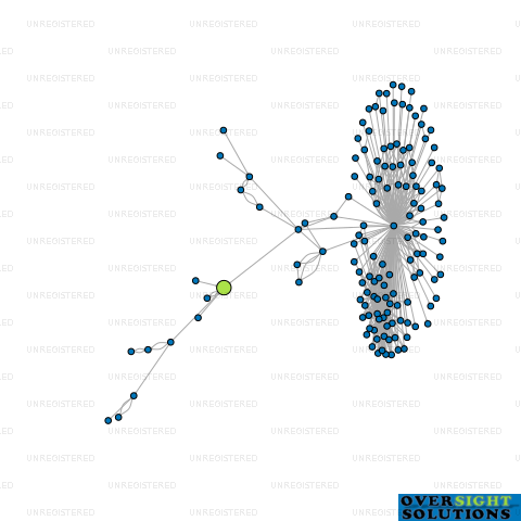 Network diagram for SINO ROAD AND BRIDGE NEW ZEALAND LTD