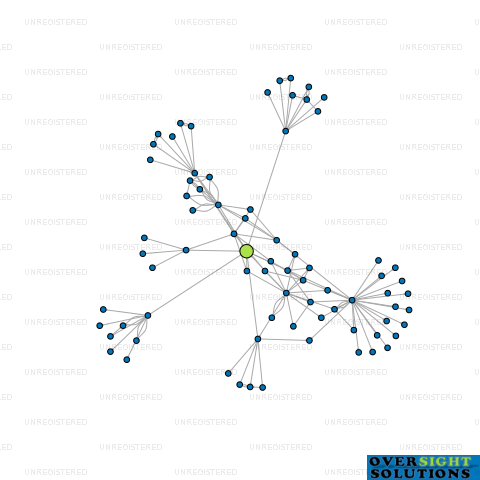 Network diagram for TURNERS  GROWERS FRESH LTD