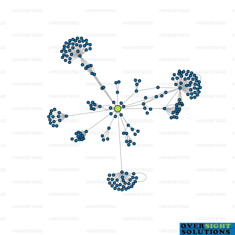 Network diagram for INSOURCE HOLDINGS LTD