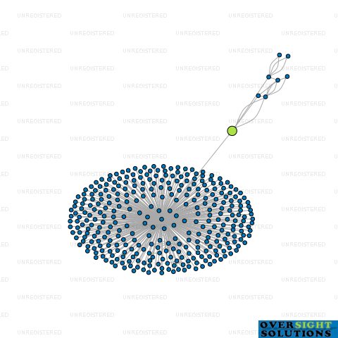 Network diagram for TE KUITI SUPERMARKET LTD