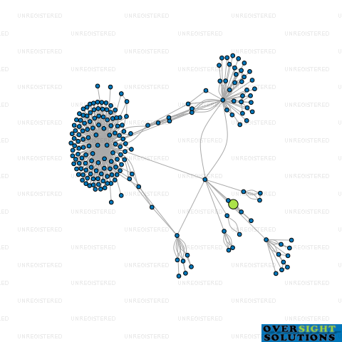 Network diagram for WINSON GREEN LTD