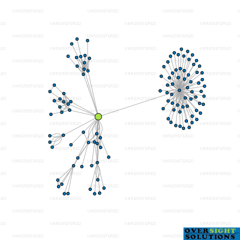 Network diagram for SEAWORKS GROUP LTD