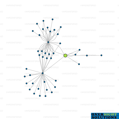 Network diagram for TINY VOICES ECE LTD