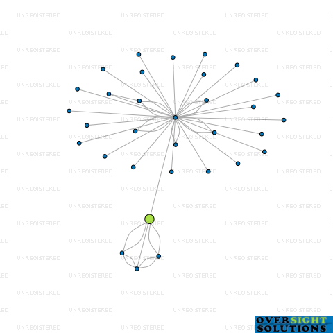 Network diagram for RITSON FAMILY TRUSTEES LTD