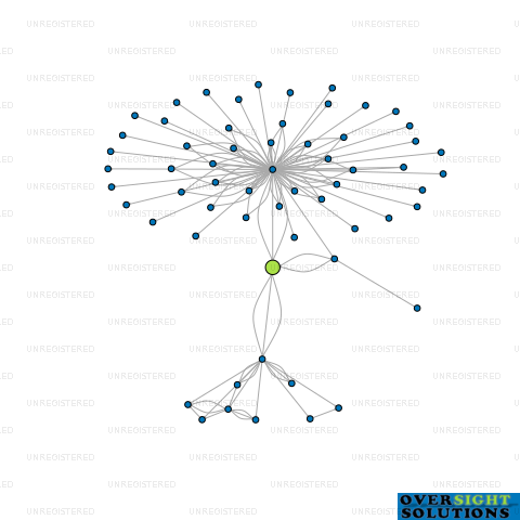 Network diagram for SCS INVESTMENTS TRUSTEE LTD
