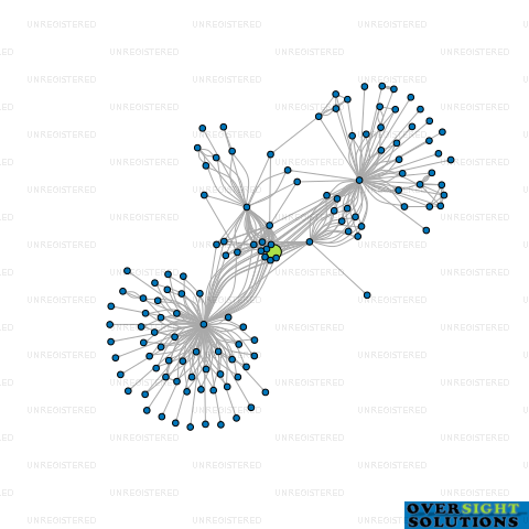 Network diagram for 219 MOORE STREET LTD