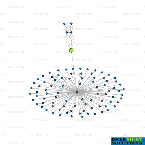 Network diagram for WINCHMORE DOWNS LTD