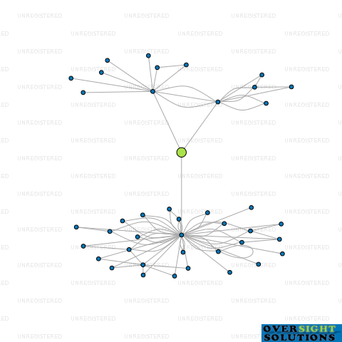 Network diagram for MOLYNEUX ESTATE LTD