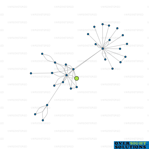 Network diagram for WISE ASSETS LTD