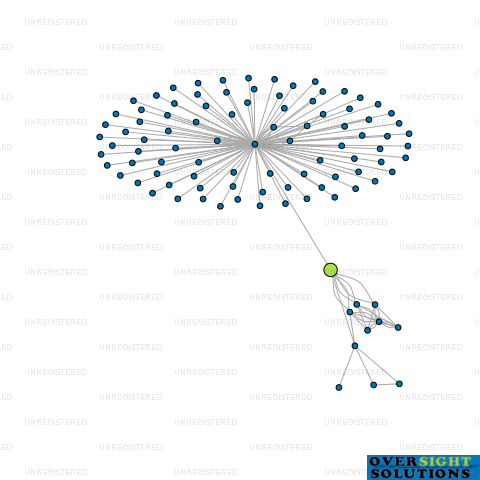 Network diagram for MONSTAR HOLDINGS LTD