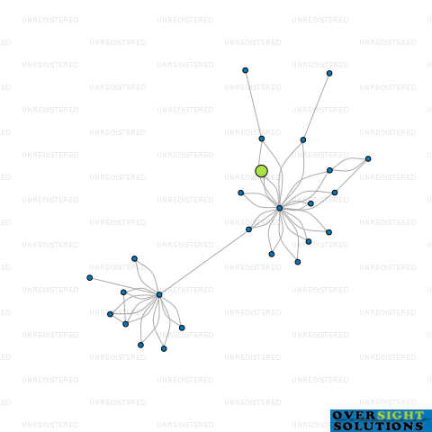 Network diagram for 2036 INVESTMENT COMPANY LTD