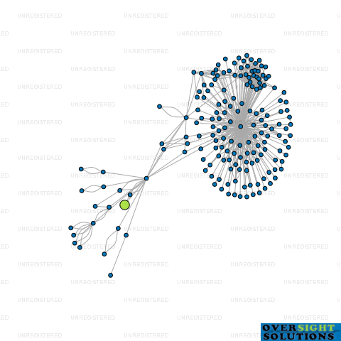 Network diagram for WISE CONSULTANTS NZ LTD