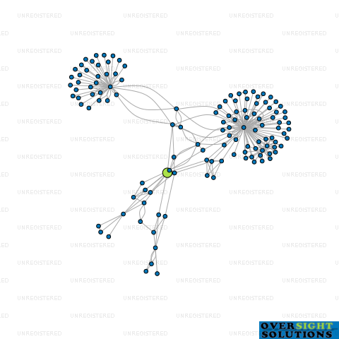 Network diagram for REMARKABLE GIFTS NZ LTD