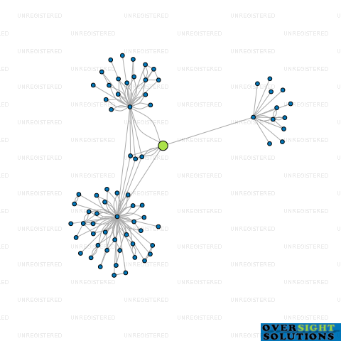 Network diagram for 309 HONEY LTD