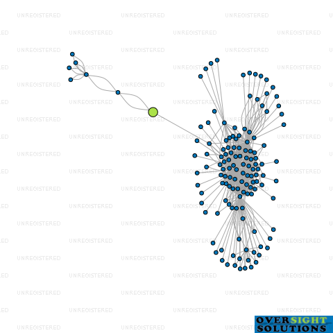 Network diagram for DR WARWICK PALMER LTD