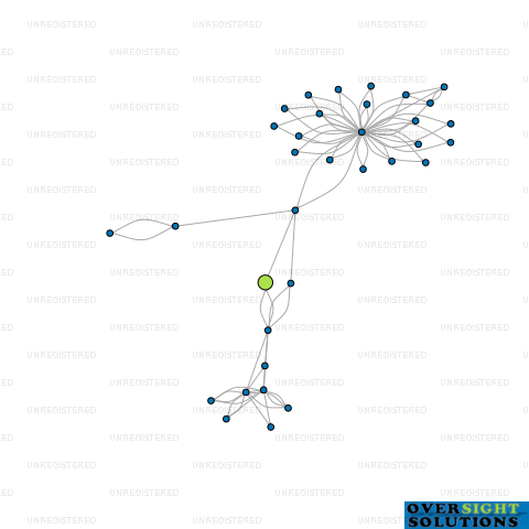 Network diagram for MONKEY INVESTMENTS LTD