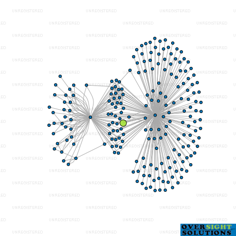 Network diagram for TRUSTEE COMPANY 5592 LTD