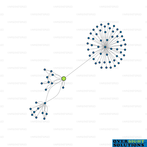 Network diagram for ADT HOLDINGS LTD