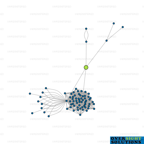 Network diagram for WJL HOLDINGS LTD