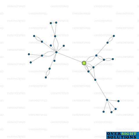 Network diagram for TURBO HOLDINGS LTD