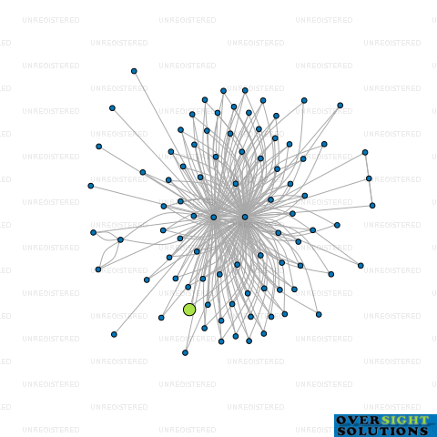 Network diagram for 96 HOBSONVILLE ROAD LTD