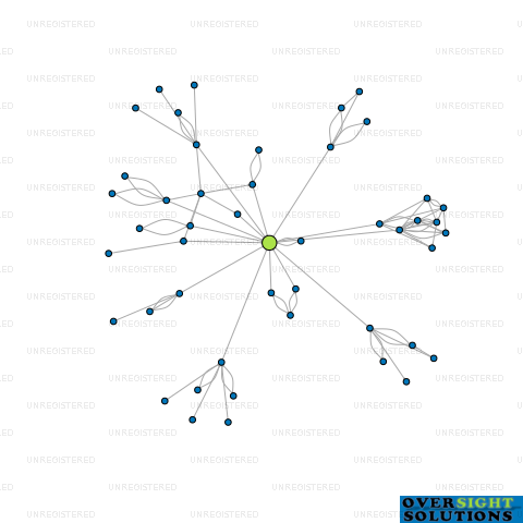 Network diagram for WINSTON TRUSTEE COMPANY LTD