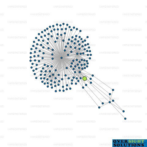 Network diagram for SHAMIANA LTD