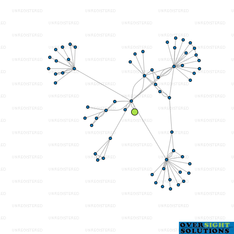 Network diagram for WILSON PROJECT DEVELOPMENT LTD