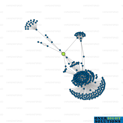 Network diagram for PINGAO TRUSTEE 466 LTD