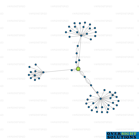 Network diagram for TRIPLE P ENTERPRISES LTD