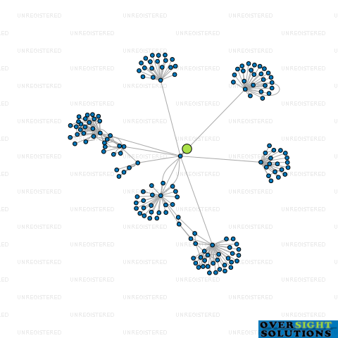 Network diagram for MORGAN WALLACE LTD