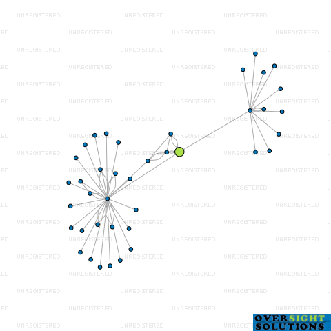 Network diagram for NIVERDEEN LTD
