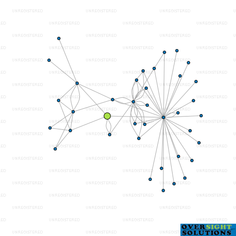 Network diagram for ROADHOUSE TRADING COMPANY LTD
