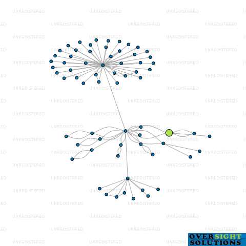 Network diagram for HG TRADING LTD