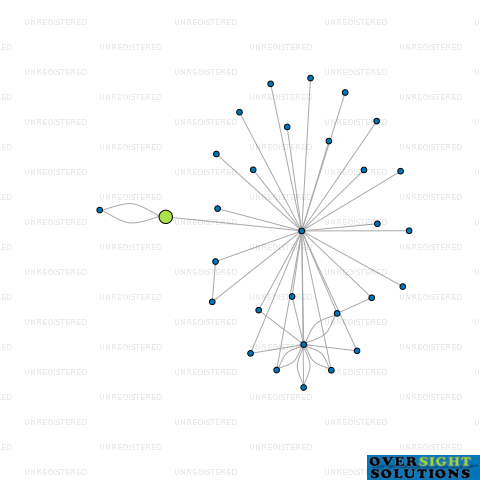 Network diagram for SDM AGENCY LTD