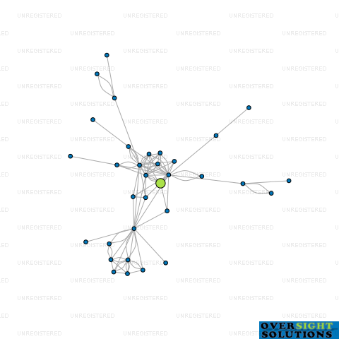 Network diagram for WILSON TRUSTEES LTD