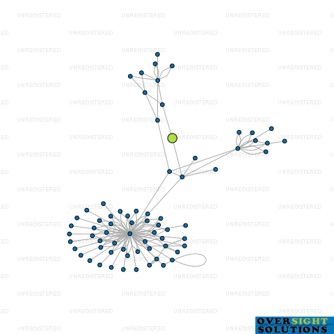 Network diagram for TWIN FLAVOR FACTORY LTD