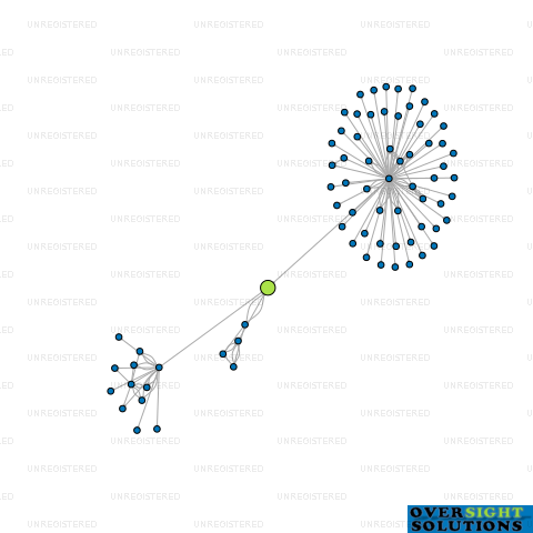 Network diagram for WKT TRUSTEE LTD