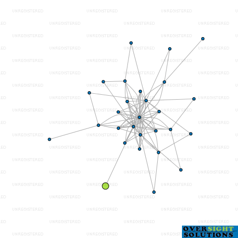 Network diagram for UDY ST DEVELOPMENTS LTD