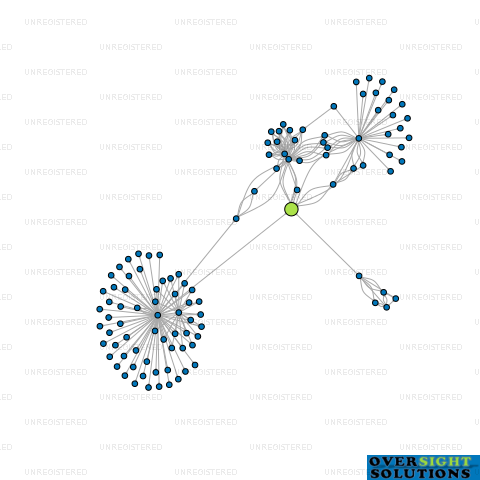 Network diagram for POCOCK TONG TRASS LTD
