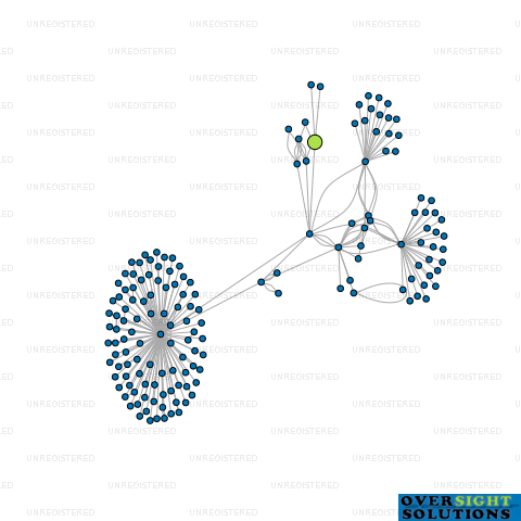 Network diagram for 1888 LTD