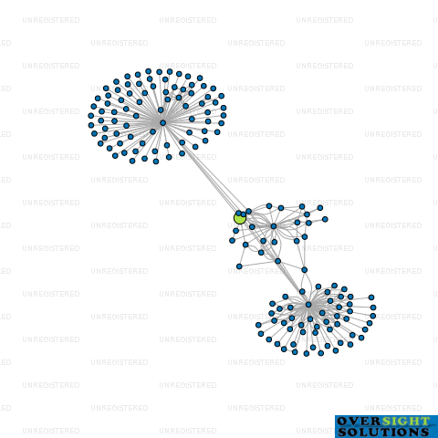 Network diagram for TRIPOINT HOLDINGS LTD