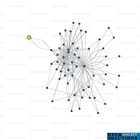 Network diagram for CONIFER LANE GP LTD