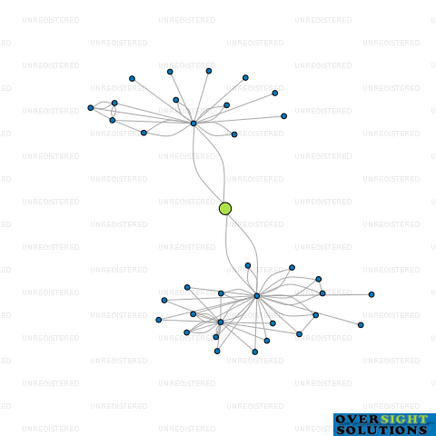 Network diagram for MONTGOMERY NOMINEES LTD