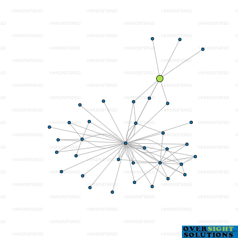 Network diagram for CDL HOTELS HOLDINGS NEW ZEALAND LTD